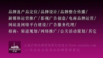 2019年上海十大品牌策劃與營銷咨詢公司最新排名及服務解析